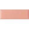 Colors flamingo